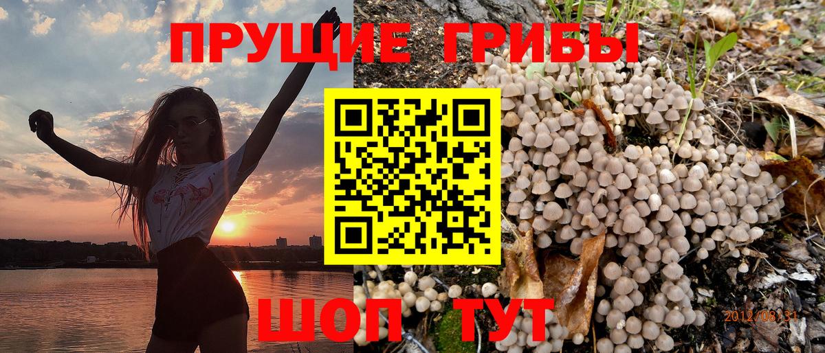 Сегежа  Галлюциногенные грибы ЛСД  дарнет шоп  Вход с VPN 